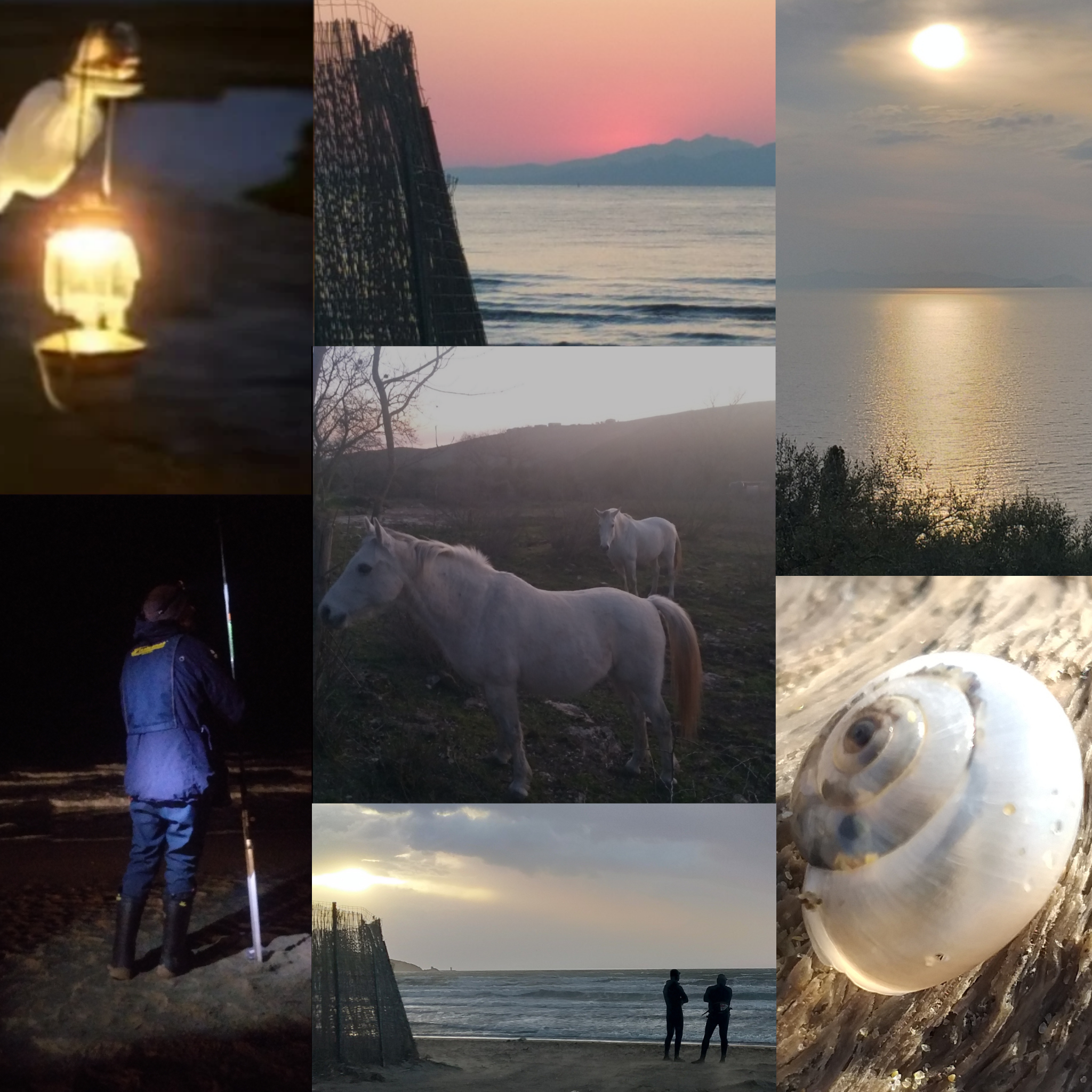 Biblioteca in cammino: approvato il progetto per raccontare le tradizioni della maremma sui sentieri